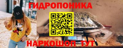 гашик Дубна