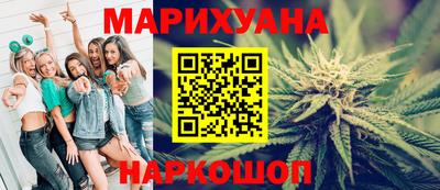 гашик Дубна