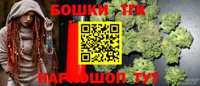 гашик Дубна