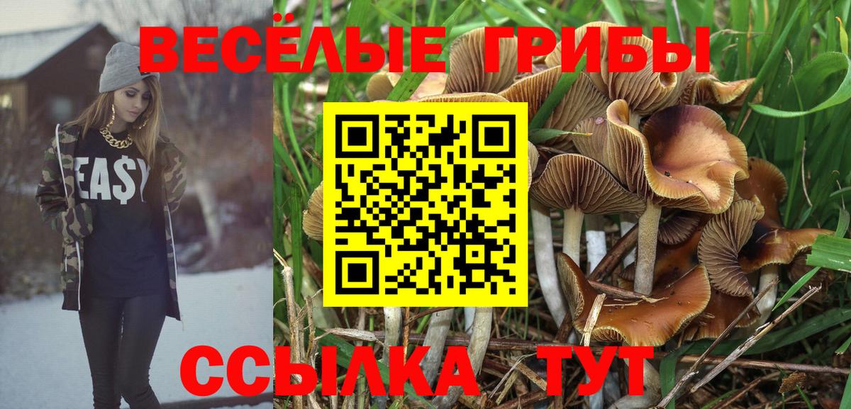 Галлюциногенные грибы мухоморы  Псилоцибиновые грибы Magic Shrooms  Изобильный  Вход с VPN 