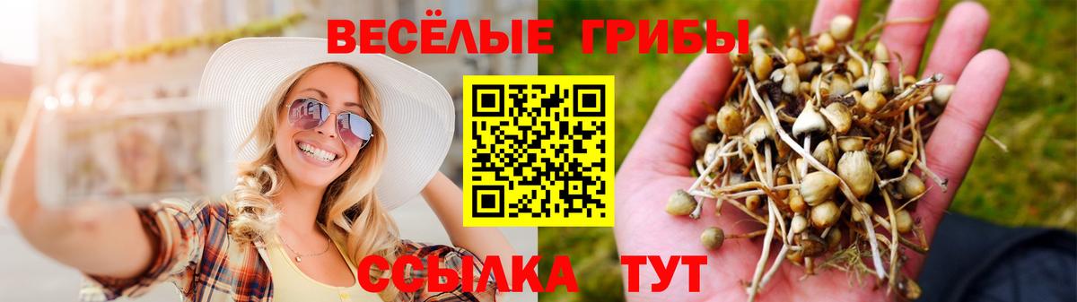 Псилоцибиновые грибы GOLDEN TEACHER Изобильный